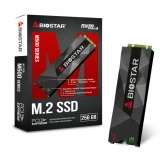 Biostar M500-256GB SSD NVMe M.2